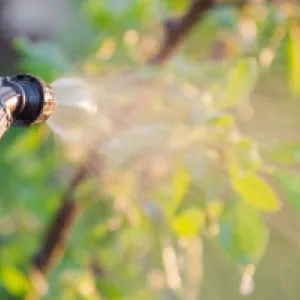 Što su pesticidi i kako se klasificiraju?