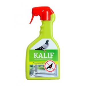 Kalif ptice i golubovi