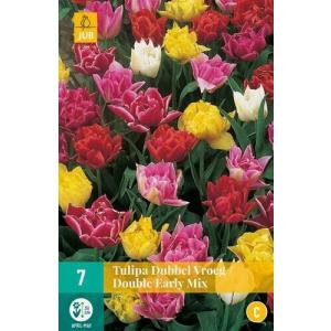Tulip Double Early mix "C"