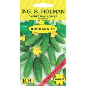 Utovarivač krastavaca Holman Bohdana F1 hu