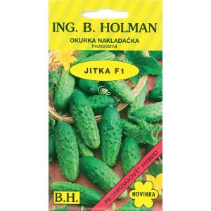 Utovarivač krastavaca Holman Jitka F1 hr