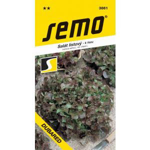 Semo Zelena salata kovrčava za rezanje Dubared 0,6g