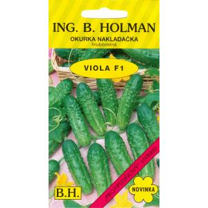 Utovarivač krastavaca Holman Viola F1 hr