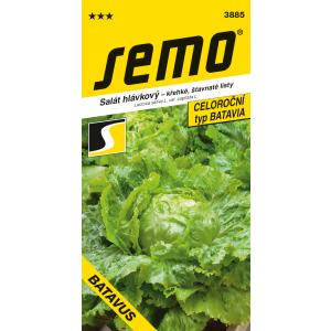 Semo Salata Batavus Profi polje 0,6g