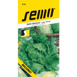 Semo Ledena salata Maximo polje velika 0,5g