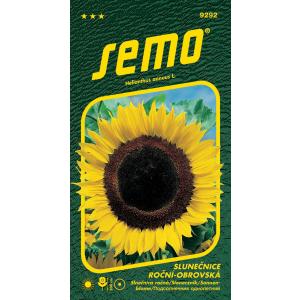 Semo Suncokret jednogodišnji div 2g