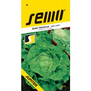 Semo Field Jupiter ljetna salata 0,3g