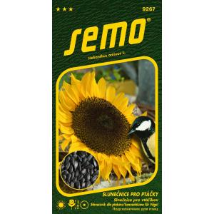 Semo Suncokret jednogodišnji Suncokret za ptice 2g