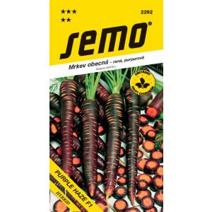 Semo Carrot Purple Haze F1 polujutarnja ljubičasta 350s