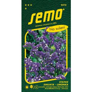 Semo Limonka Statica sinuata tamno plava ljubičasta 0,5g