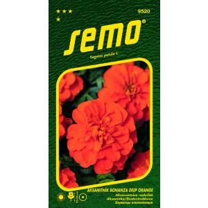 Semo Velvet bonanza Deep Orange 30s