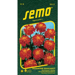 Semo Decomposed Velvet Carmen 1g