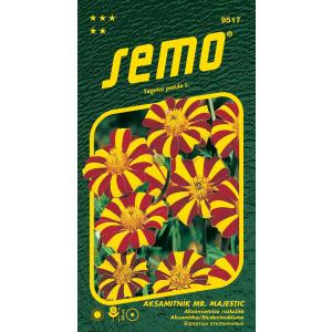 Semo Mr.Majestic rasklopljeni baršun 50-ih