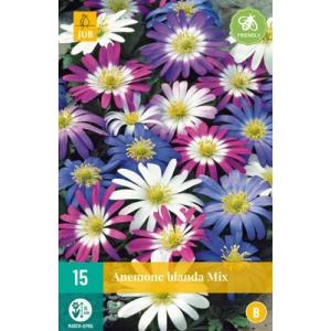Veternica Anemone Blanda Mix "B"