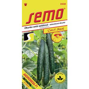 Semo Staklenički krastavac Andromeda F1 SM 4121 10s