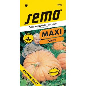 Semo Creeping Pumpkin Atlantic Giant 4s