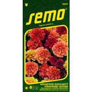 Semo Velvet Strawberry Blonde 35s