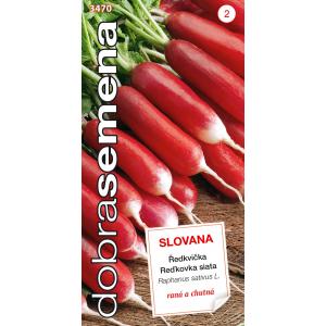 Dobro sjeme Rotkvica crvena i bijela Slovana brza rana 4g