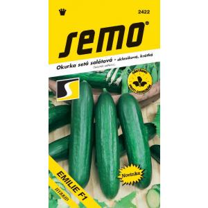 Semo Staklenički krastavac Emília F1 Cr 10s