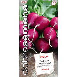 Dobro sjeme Purple Radish Viola tijekom cijele godine 4g