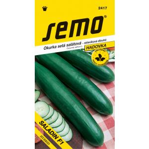 Semo Staklenički krastavac Saladin F1 dl 10s