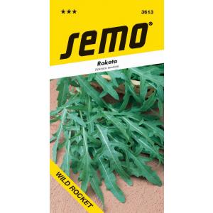 Semo Roketa siata Divlja rukola Diplotaxis tenuifolia 1,2g