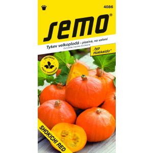 Semo Pumpkin tip Hokkaido Shokichi Red F1 tip Kabocha 5s