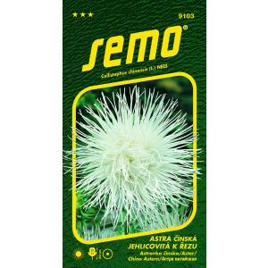 Semo Astra kineska četinara Electric white 0,5g