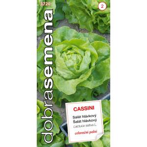 Dobro sjeme Salata cjelogodišnja Cassini 0,4g