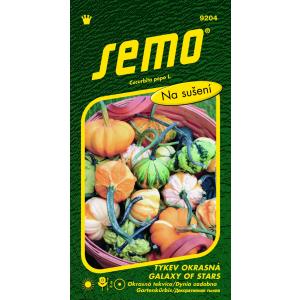 Semo Ukrasna bundeva Galaxy of Stars F1 0,4 g