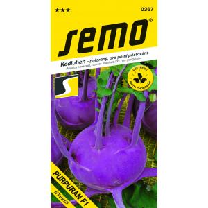 Semo Kale Blue Purple F1 polu-rana za polje 50s