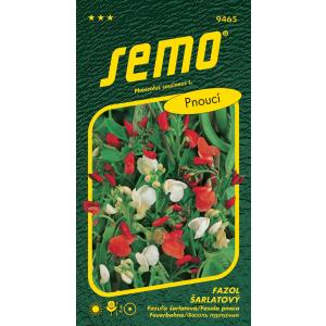 Semo Beans scarlet creeper crveno bijeli 9s
