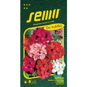 Semo Pelargonia prugasta mješavina 11s
