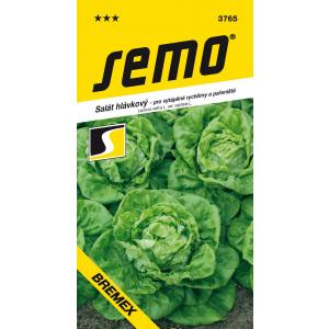 Semo Zelena salata cjelogodišnja Bremex Profi 0,4g