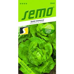 Semo Salata cjelogodišnja Maršálus Profi polje 0,5g