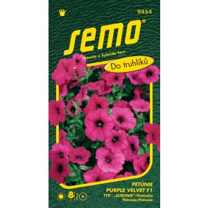 Semo Petunia viseća Purple Velvet F1 tip Surfinia 10p
