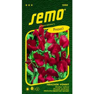 Semo Mirisni grašak Mammoth Scarlet 2g