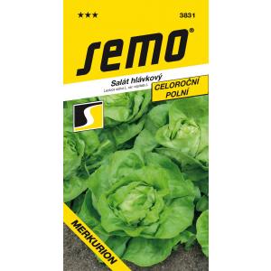 Semo Salata cjelogodišnja Merkurion Profi polje 0,6g