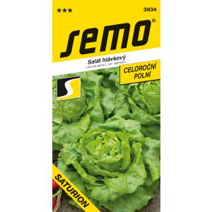 Semo Salata cjelogodišnja Saturion polje Profi velika glavica 0,6g