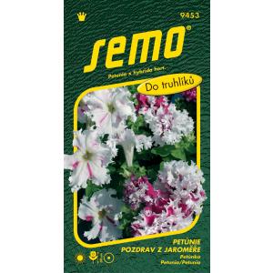Semo Petunia s velikim cvjetovima Pozdrav od Jaroměřa 50p