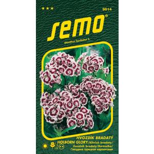 Semo Bearded Starfish Holborn Glory 0,5 g