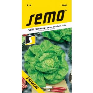 Semo Proljetno polje Faraonova jesenja salata 0,6 g