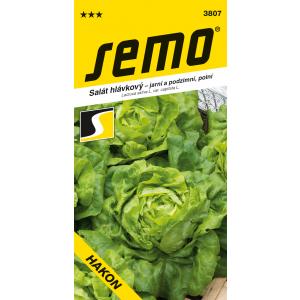 Semo Proljetna salata Hakon Profi polje 0,6g