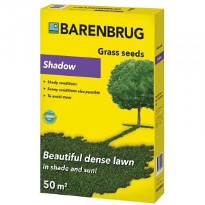 Barenbrug sjena